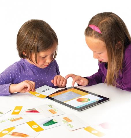 Link4fun Cards Lesson Plan: Identify, Categorize & Communicate!